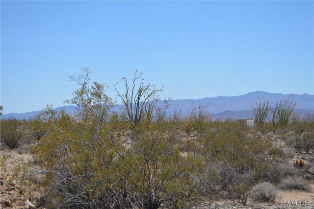 Lot 205 S Cortaro Road, Yucca, AZ 86438