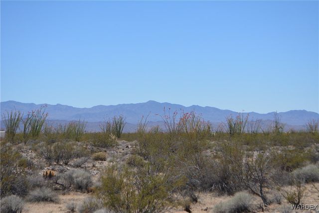 Lot 205 S Cortaro Road, Yucca, AZ 86438