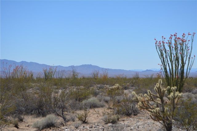 Lot 205 S Cortaro Road, Yucca, AZ 86438