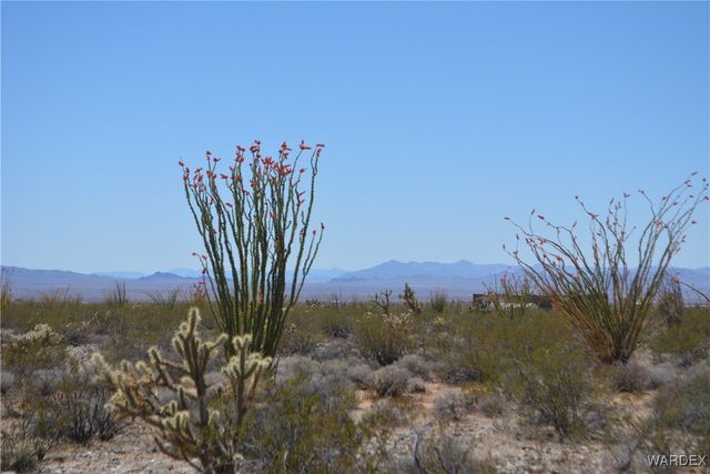 Lot 205 S Cortaro Road, Yucca, AZ 86438