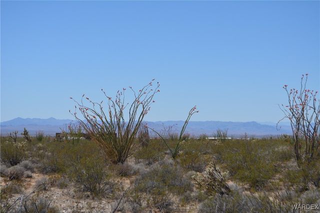 Lot 205 S Cortaro Road, Yucca, AZ 86438