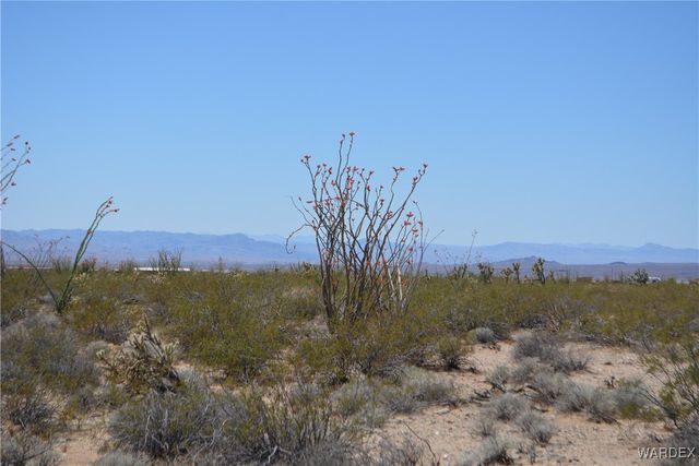 Lot 205 S Cortaro Road, Yucca, AZ 86438