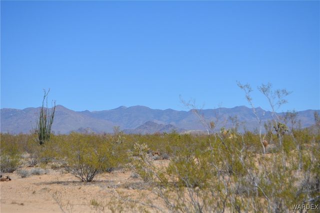 Lot 205 S Cortaro Road, Yucca, AZ 86438