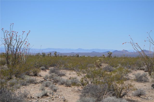 Lot 205 S Cortaro Road, Yucca, AZ 86438