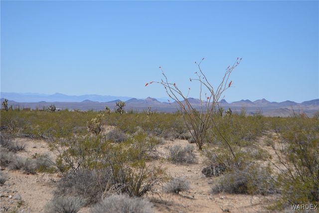 Lot 205 S Cortaro Road, Yucca, AZ 86438