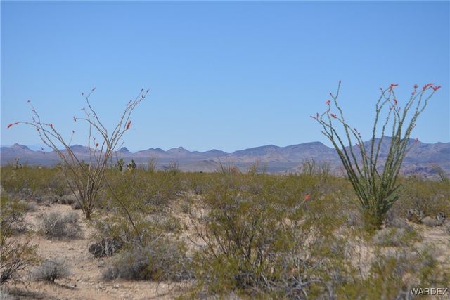 Lot 205 S Cortaro Road, Yucca, AZ 86438