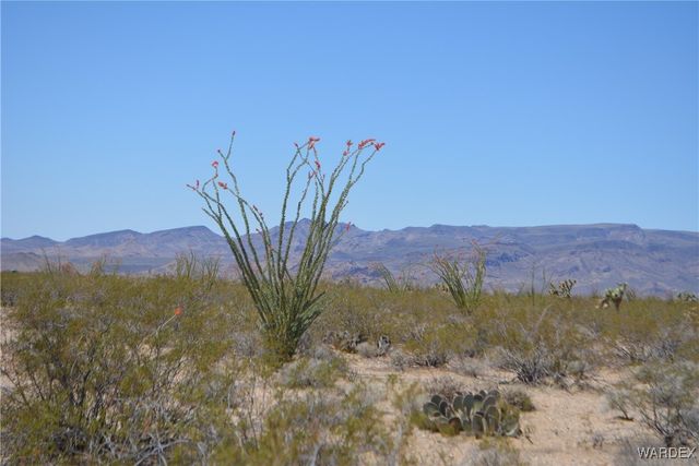 Lot 205 S Cortaro Road, Yucca, AZ 86438