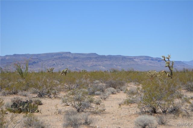 Lot 205 S Cortaro Road, Yucca, AZ 86438