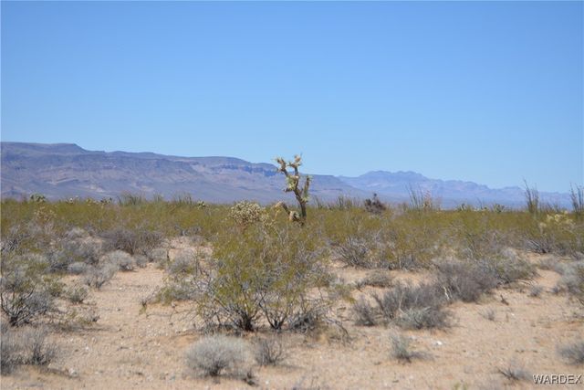 Lot 205 S Cortaro Road, Yucca, AZ 86438