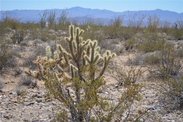 Lot 205 S Cortaro Road, Yucca, AZ 86438