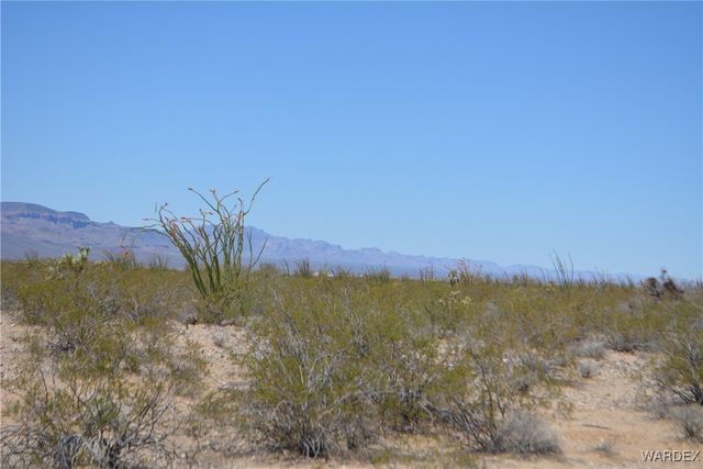 Lot 205 S Cortaro Road, Yucca, AZ 86438