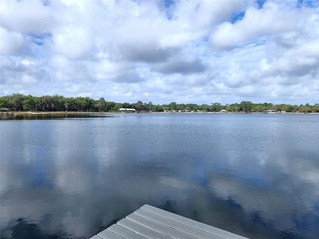 22380 NE 112TH TERRACE, Fort Mc Coy, FL 32134