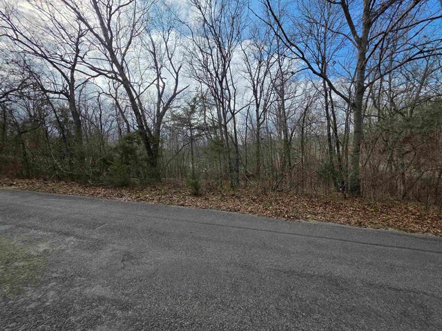 L-25 B-1 Woodland Hills Road, Hardy, AR 72542
