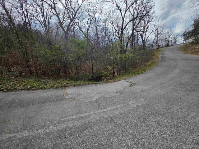 L-25 B-1 Woodland Hills Road, Hardy, AR 72542