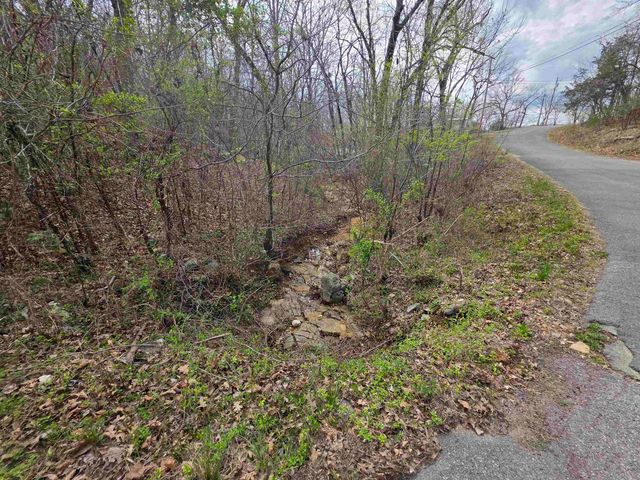 L-25 B-1 Woodland Hills Road, Hardy, AR 72542