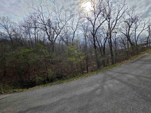 L-25 B-1 Woodland Hills Road, Hardy, AR 72542