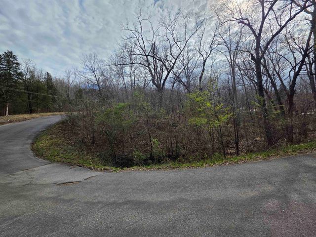 L-25 B-1 Woodland Hills Road, Hardy, AR 72542