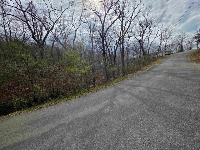 L-25 B-1 Woodland Hills Road, Hardy, AR 72542