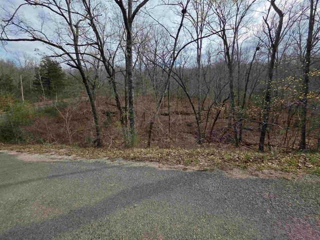 L-25 B-1 Woodland Hills Road, Hardy, AR 72542