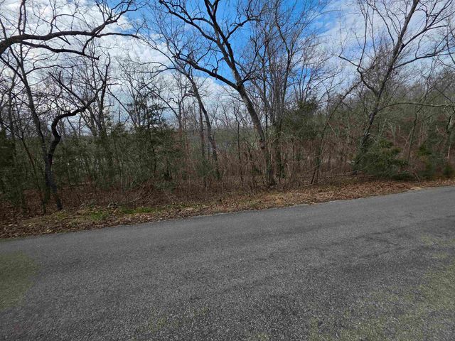 L-25 B-1 Woodland Hills Road, Hardy, AR 72542