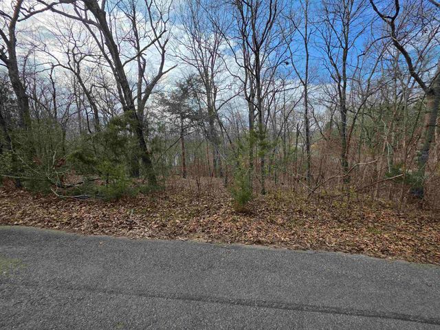 L-25 B-1 Woodland Hills Road, Hardy, AR 72542