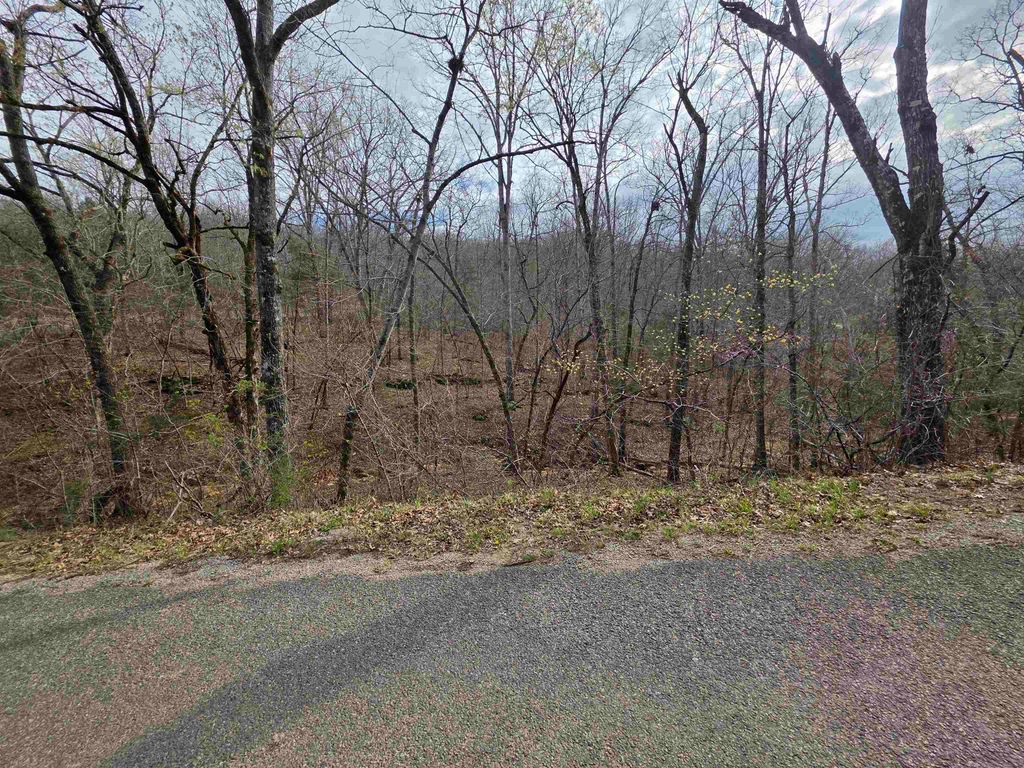 L-25 B-1 Woodland Hills Road, Hardy, AR 72542