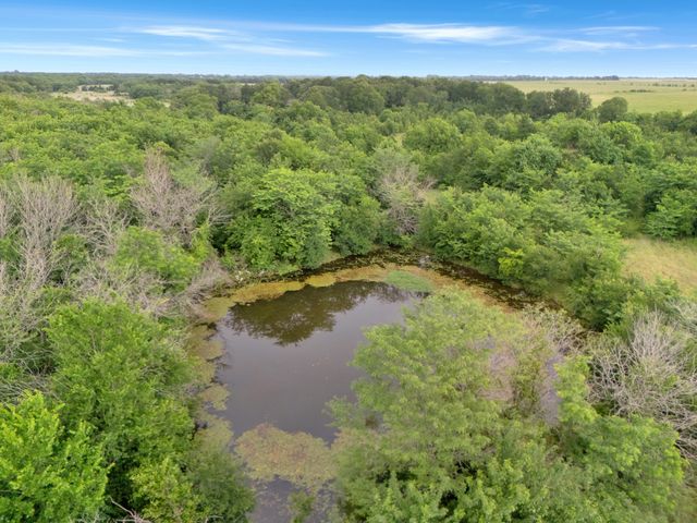 Tract 9 County Road 2158, Cooper, TX 75432