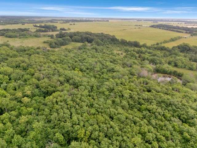Tract 9 County Road 2158, Cooper, TX 75432