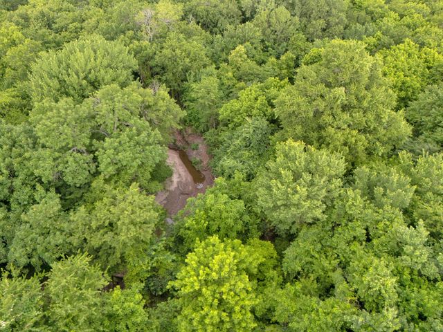 Tract 9 County Road 2158, Cooper, TX 75432