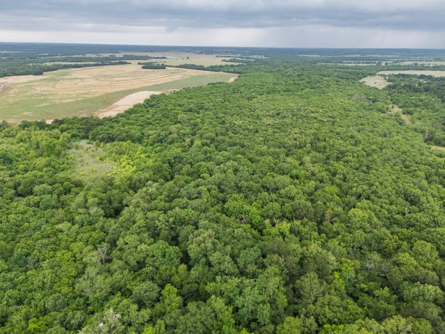 Tract 9 County Road 2158, Cooper, TX 75432