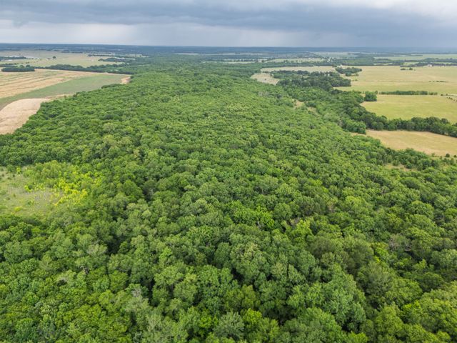 Tract 9 County Road 2158, Cooper, TX 75432