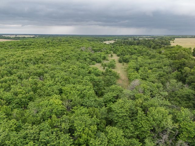 Tract 9 County Road 2158, Cooper, TX 75432