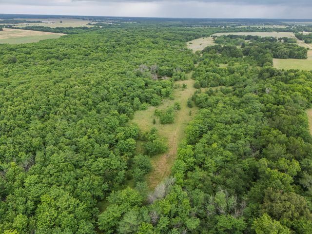 Tract 9 County Road 2158, Cooper, TX 75432