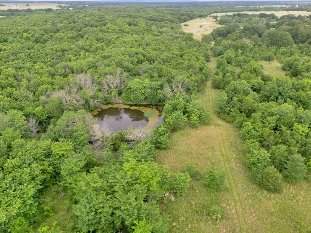 Tract 9 County Road 2158, Cooper, TX 75432