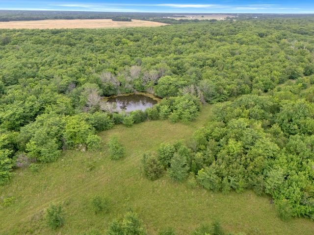 Tract 9 County Road 2158, Cooper, TX 75432