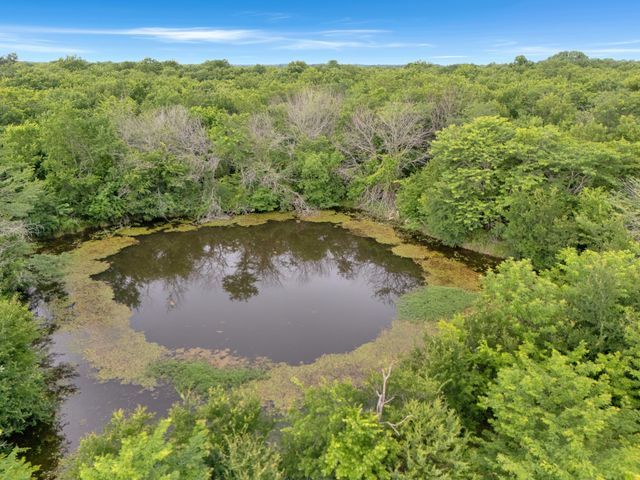 Tract 9 County Road 2158, Cooper, TX 75432