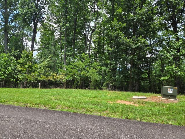 Lt 95 Thirteen Hundred, Blairsville, GA 30512