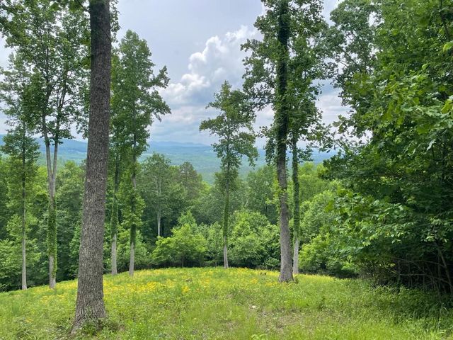 Lt 95 Thirteen Hundred, Blairsville, GA 30512