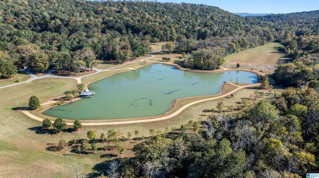 575 GUINNS COVE LANE, Hayden, AL 35079