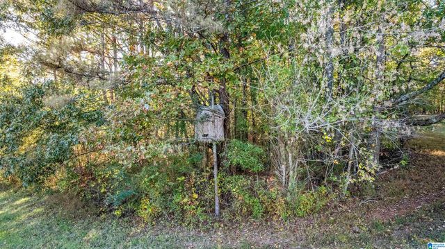575 GUINNS COVE LANE, Hayden, AL 35079