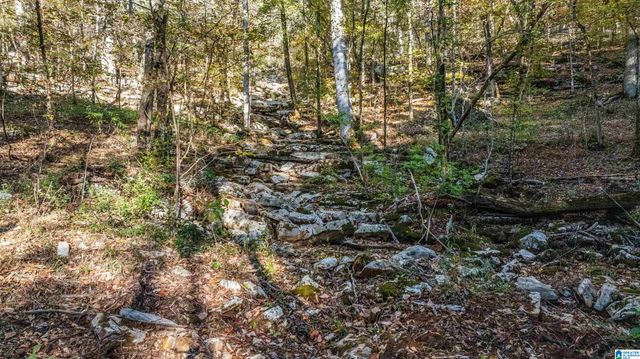 575 GUINNS COVE LANE, Hayden, AL 35079