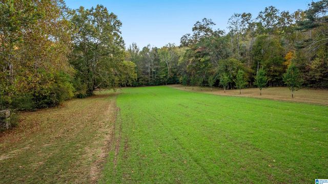 575 GUINNS COVE LANE, Hayden, AL 35079