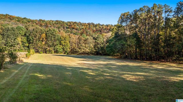 575 GUINNS COVE LANE, Hayden, AL 35079