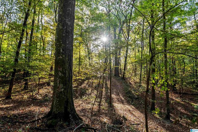 575 GUINNS COVE LANE, Hayden, AL 35079