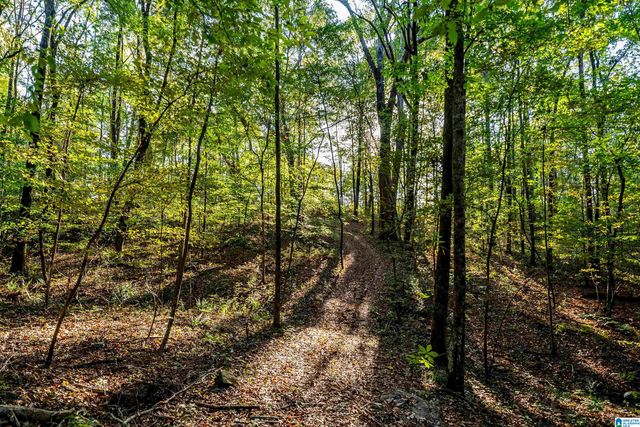 575 GUINNS COVE LANE, Hayden, AL 35079