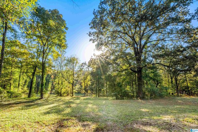 575 GUINNS COVE LANE, Hayden, AL 35079