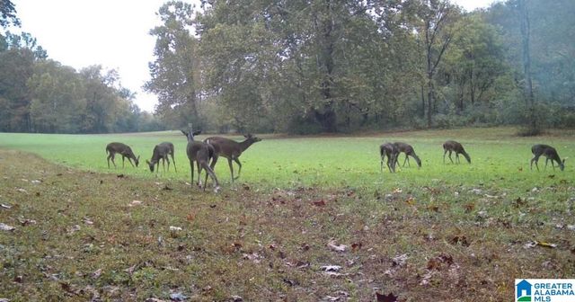 575 GUINNS COVE LANE, Hayden, AL 35079