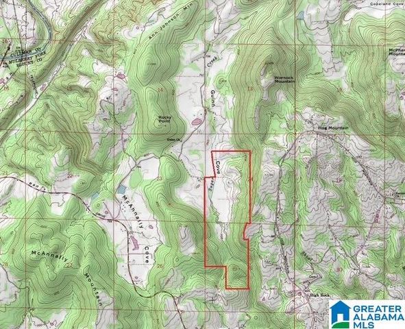 575 GUINNS COVE LANE, Hayden, AL 35079