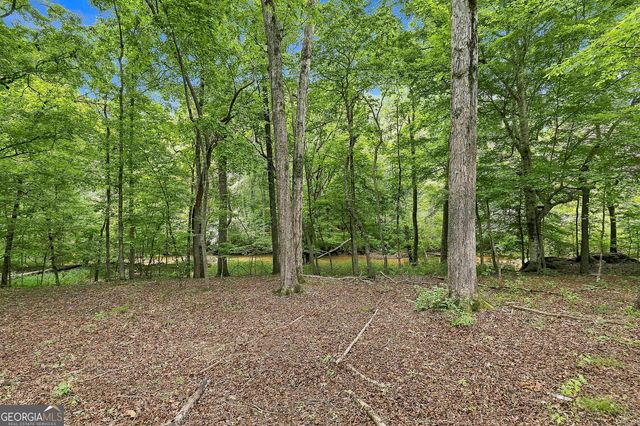230 Windchime Way, Tyrone, GA 30290