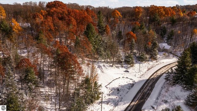 9394 E Hoxie Road, Cedar, MI 49621